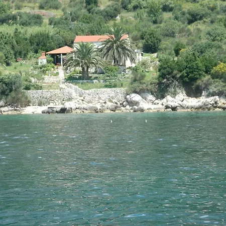 Jm * Mlini